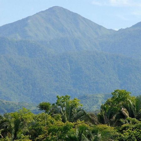 Villa Kiskadee - Beautiful Mountain Views With Private Pool Quepos Extérieur photo