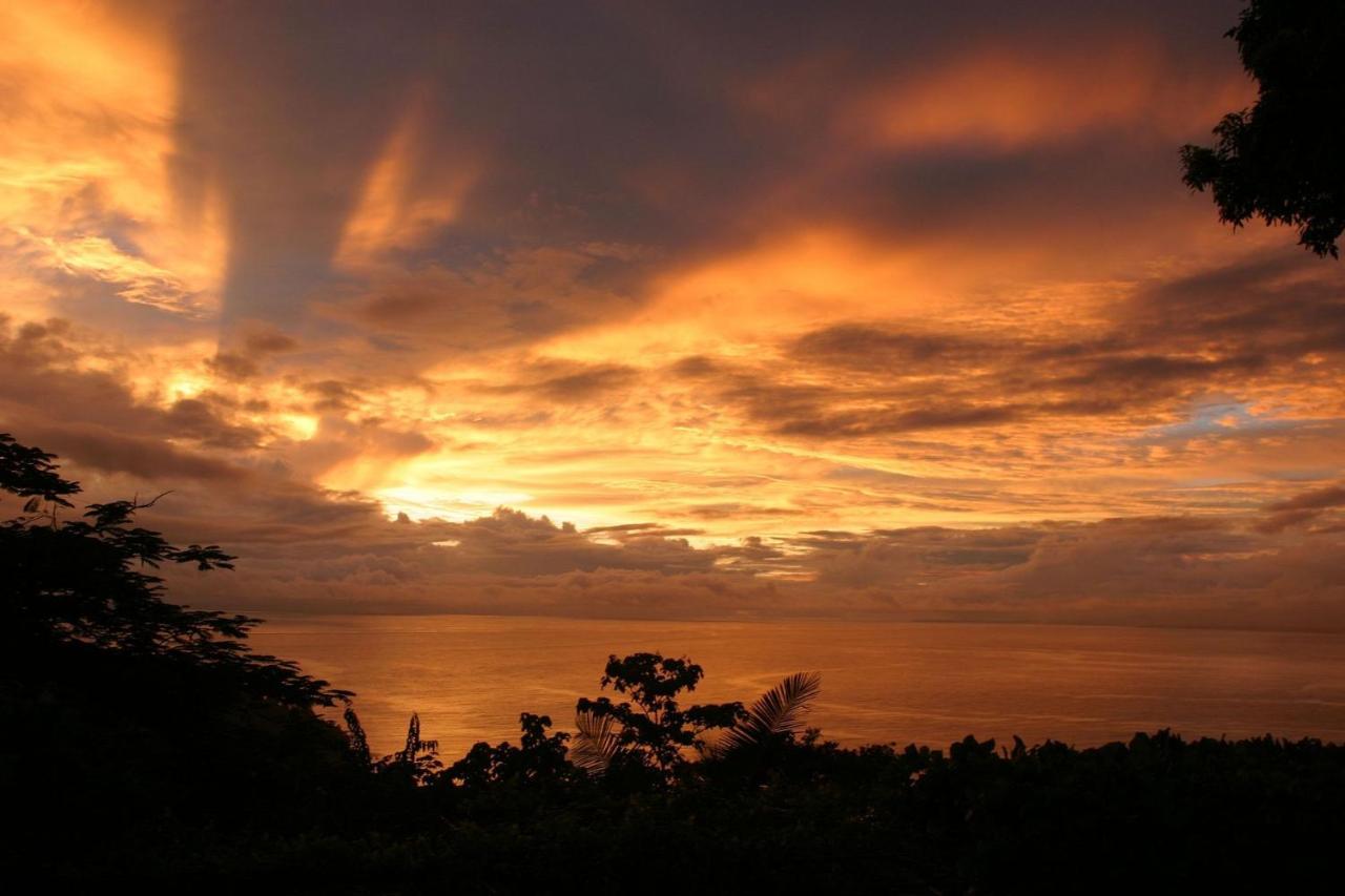 Villa Kiskadee - Beautiful Mountain Views With Private Pool Quepos Extérieur photo