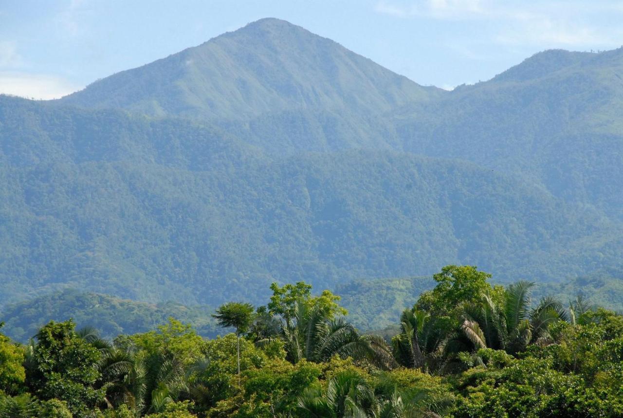 Villa Kiskadee - Beautiful Mountain Views With Private Pool Quepos Extérieur photo